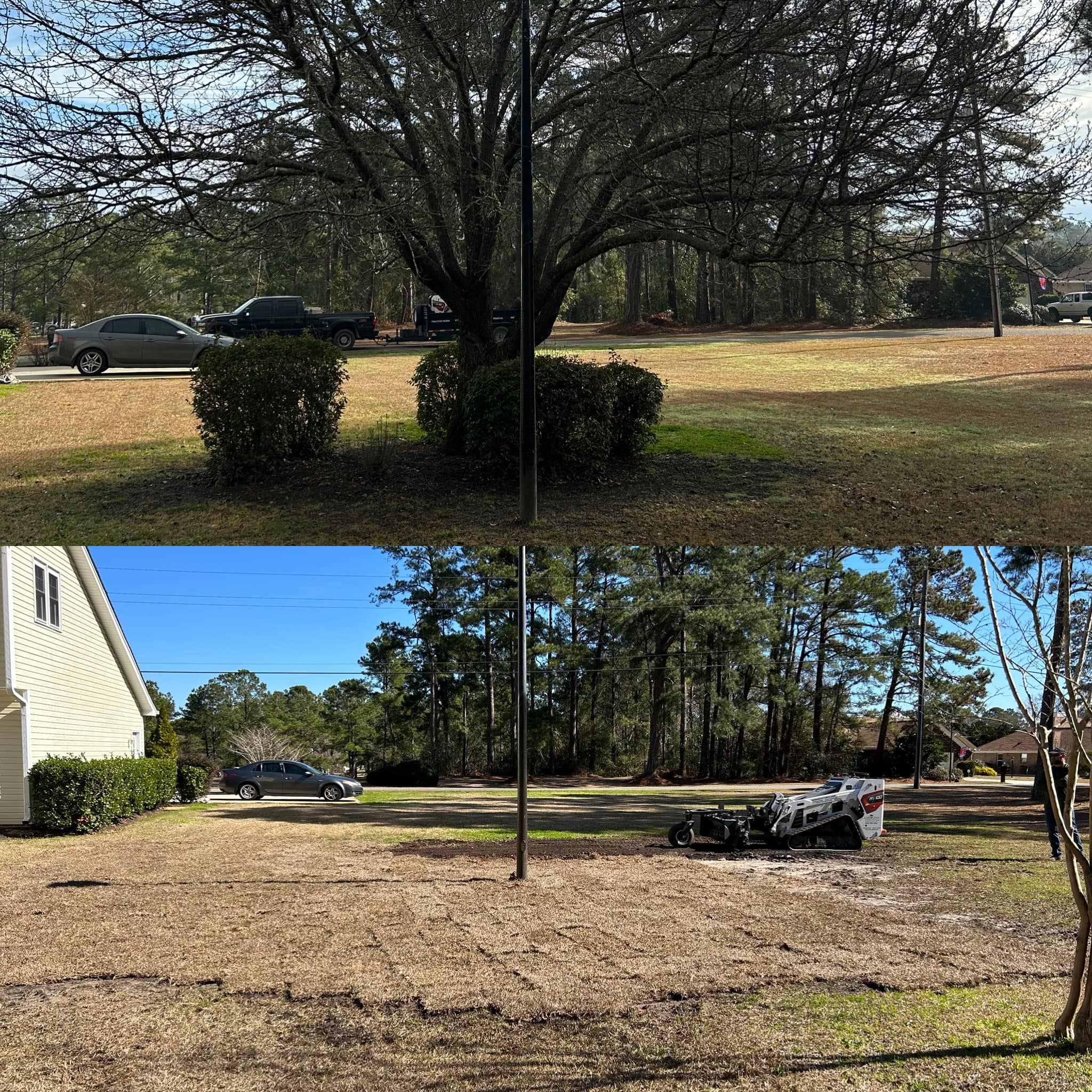 Removed tree and shrubs and installed sod in Little River, SC 29566