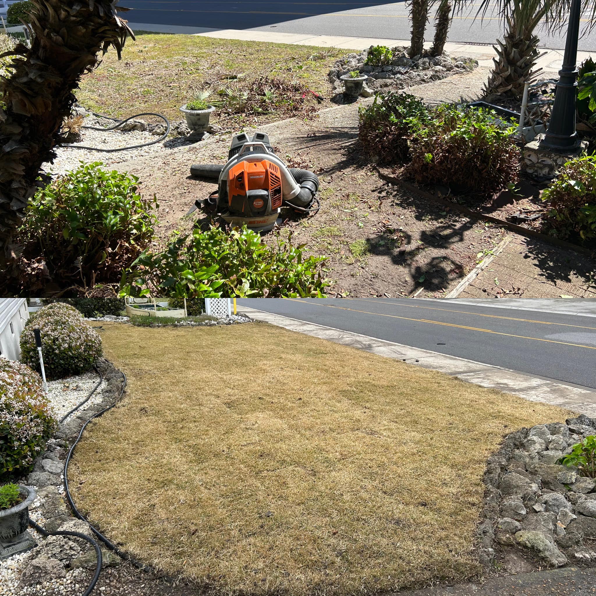 Removed old grass and installed Zoysia sod in Windy Hill,SC 29582