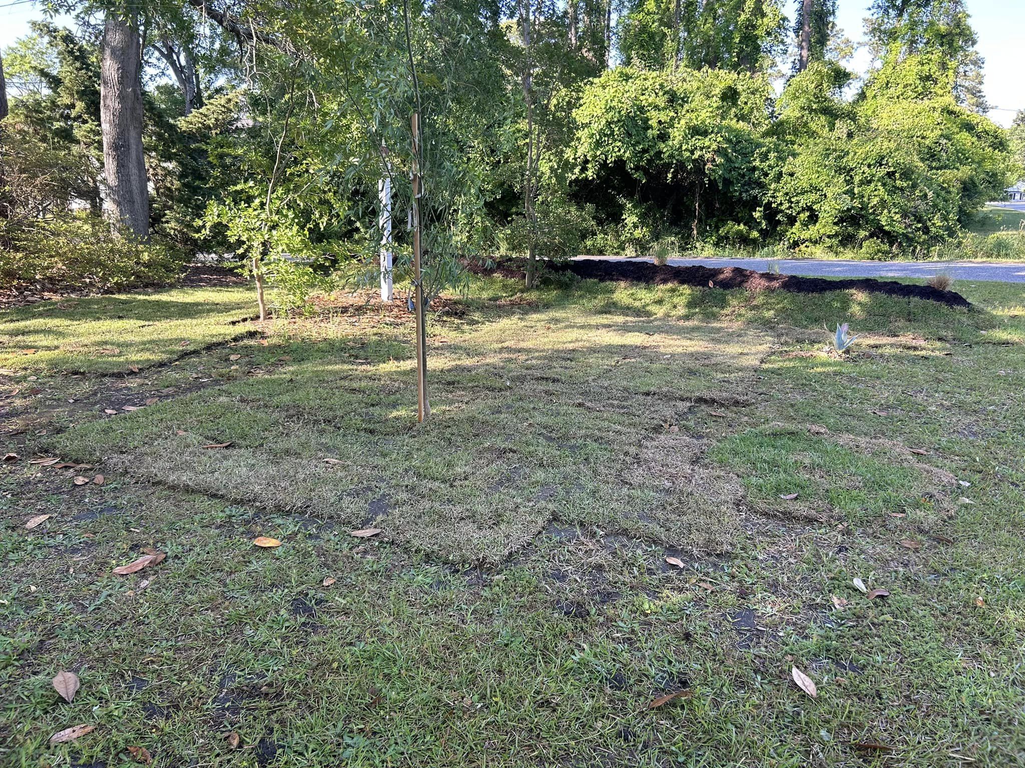 Raise and grade ground, install berms,plants and sod in North Myrtle Beach,SC 29582