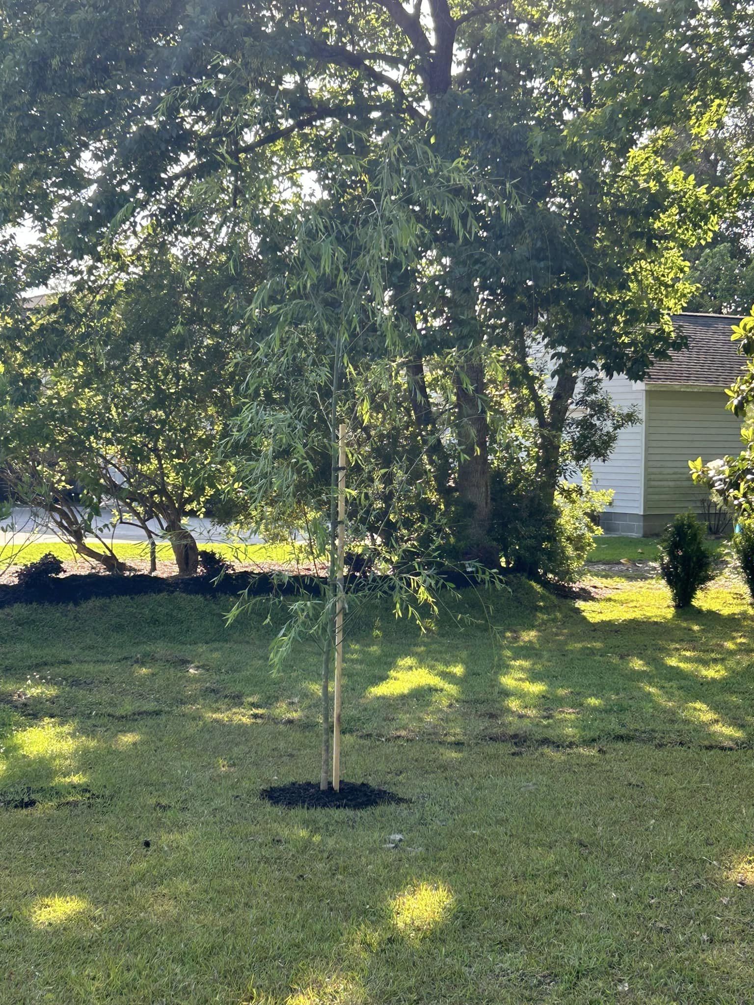 Raise and grade ground, install berms,plants and sod in North Myrtle Beach,SC 29582