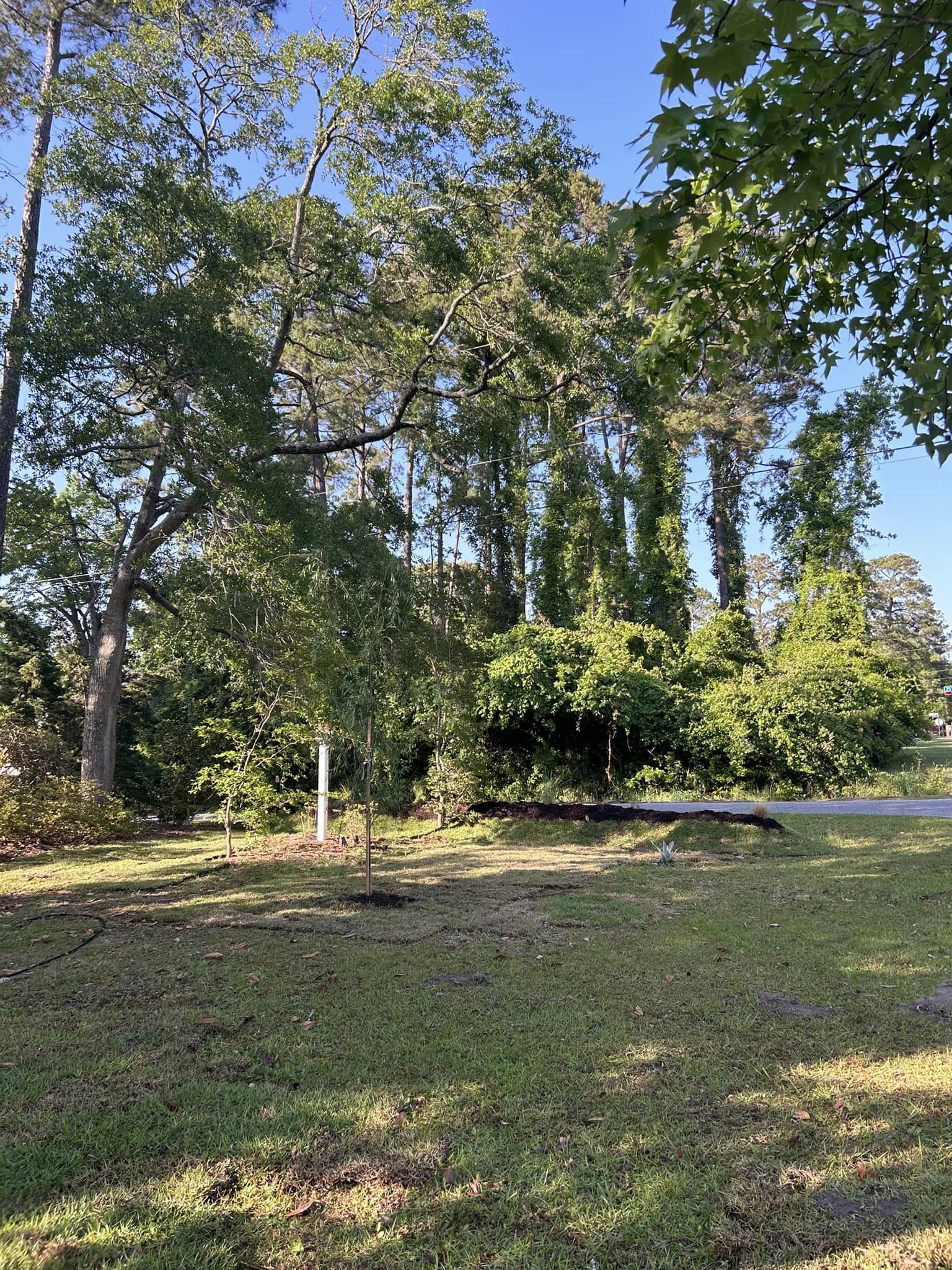 Raise and grade ground, install berms,plants and sod in North Myrtle Beach,SC 29582