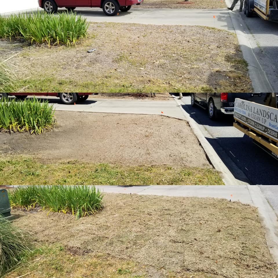Remove old grass and install new sod in front yard