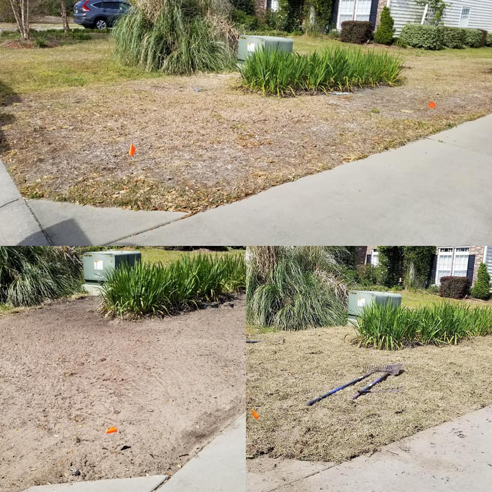 Remove old grass and install new sod in front yard