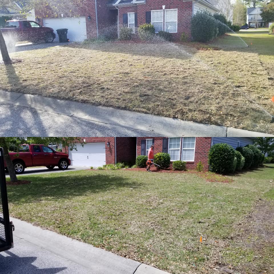 Remove old grass and install new sod in front yard
