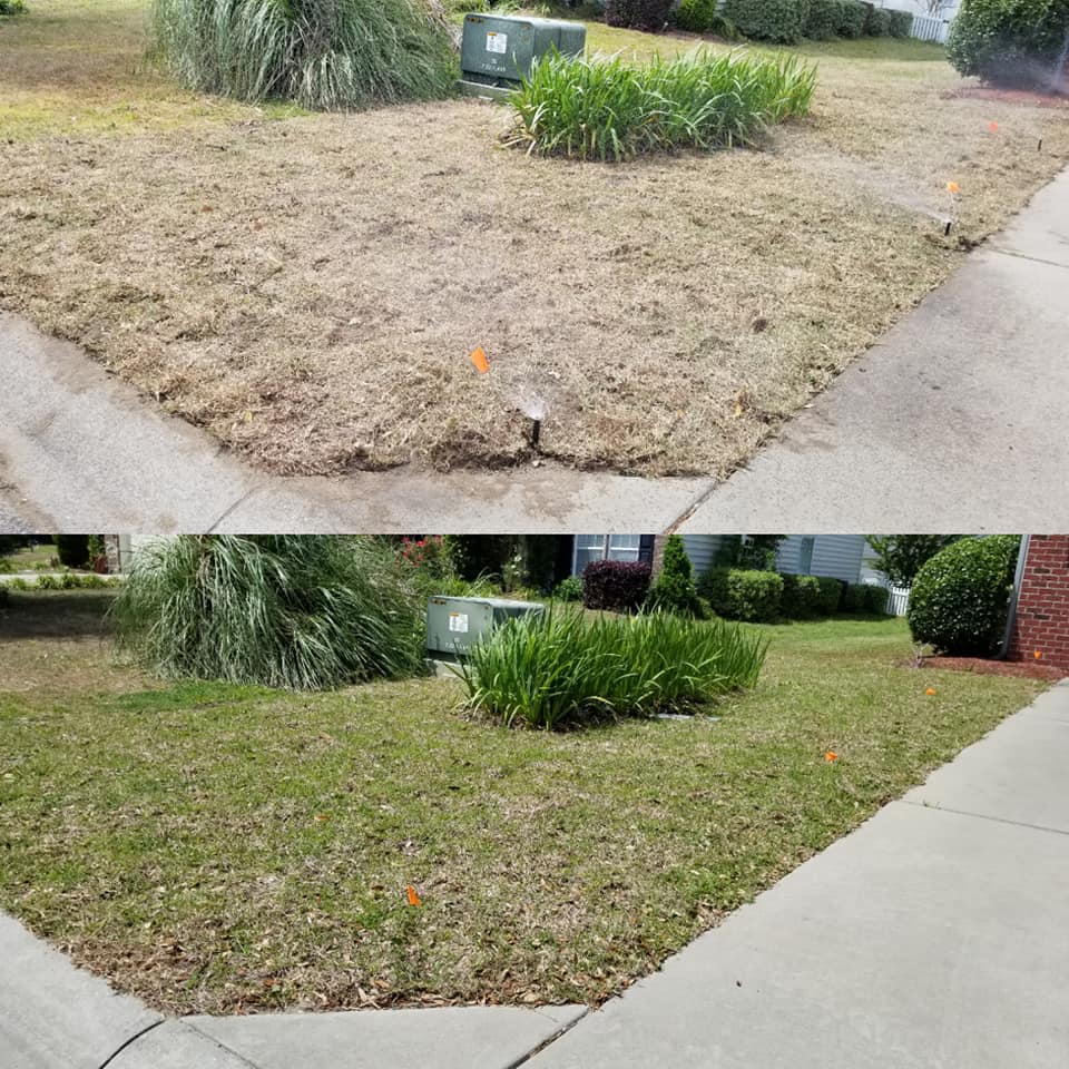 Remove old grass and install new sod in front yard