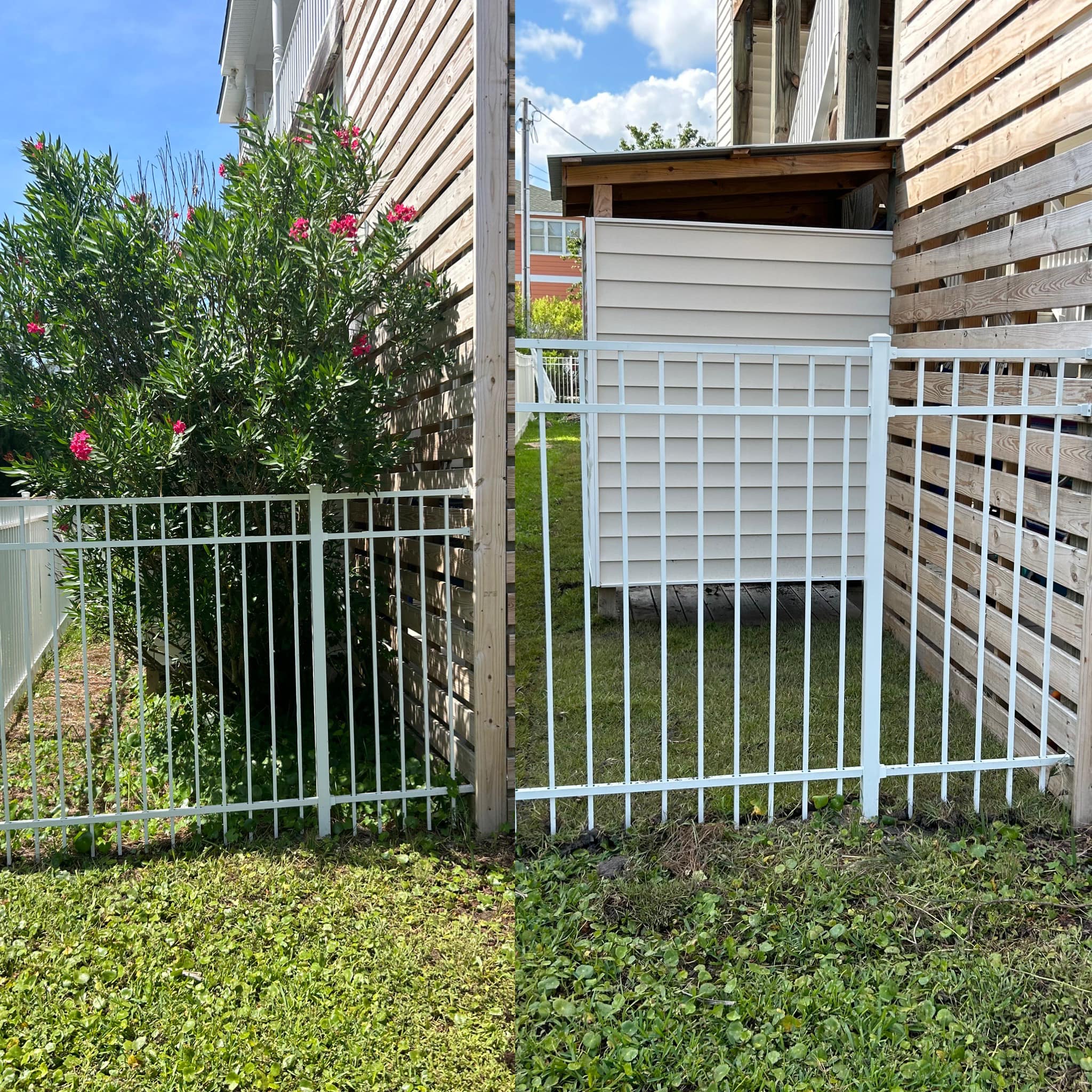 Removed Shrubs, repaired irrigation and installed sod in Windy Hill, SC 29582