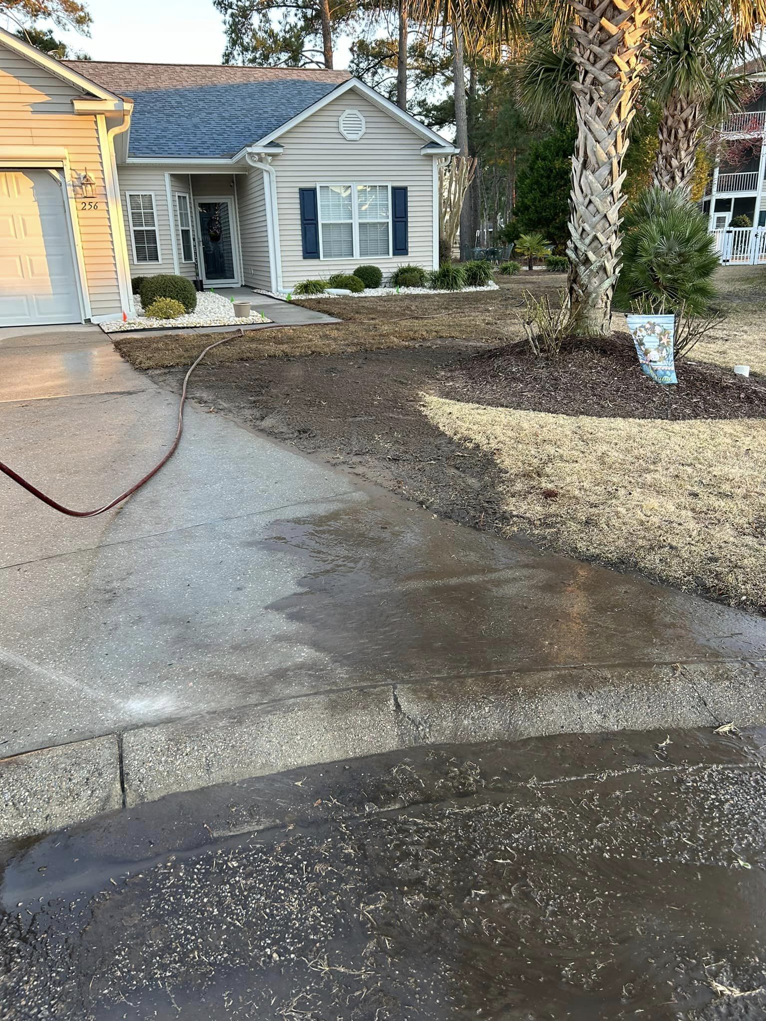 Removed old grass and installed Emerald Green Zoysia in Forestbrook,SC 29579