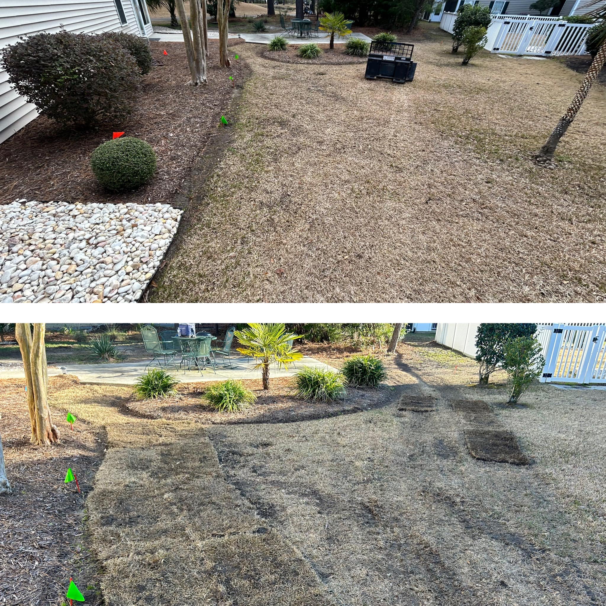 Removed old grass and installed Emerald Green Zoysia in Forestbrook,SC 29579