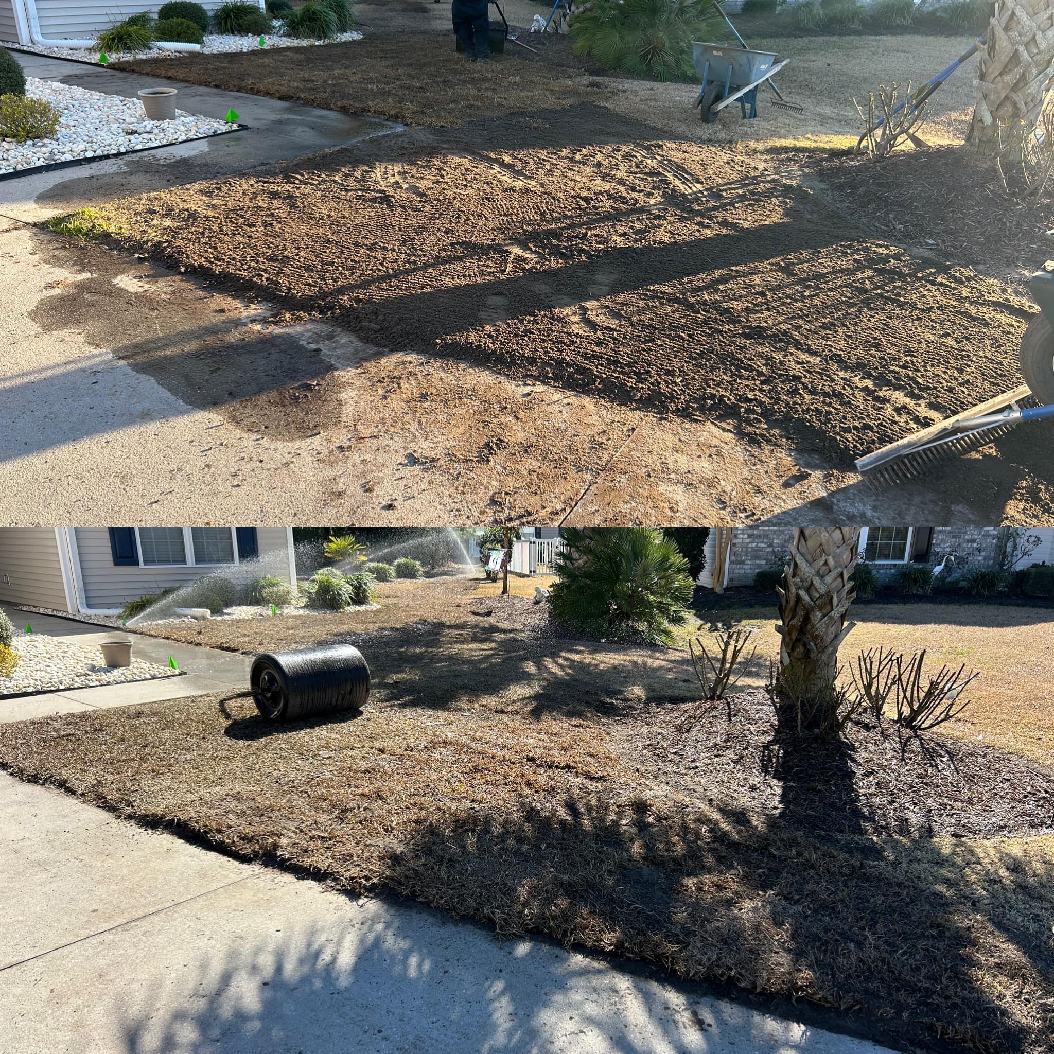 Removed old grass and installed Emerald Green Zoysia in Forestbrook,SC 29579