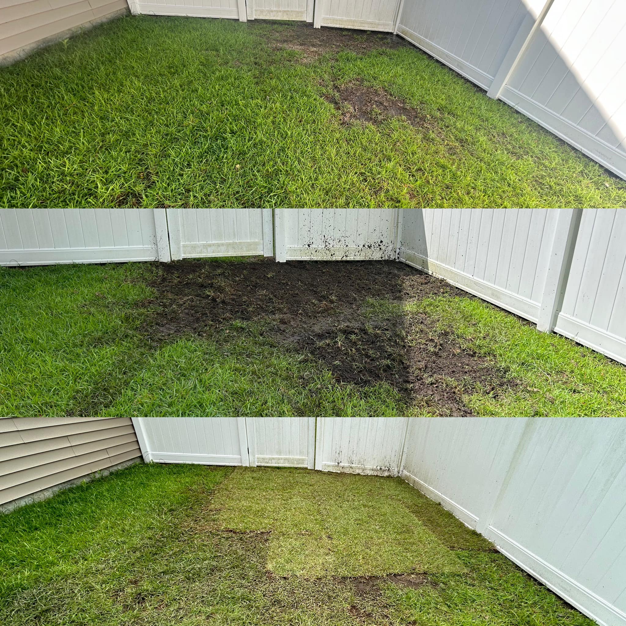 Removed old grass, added soil and installed Centipede sod down in Little River,SC 29566