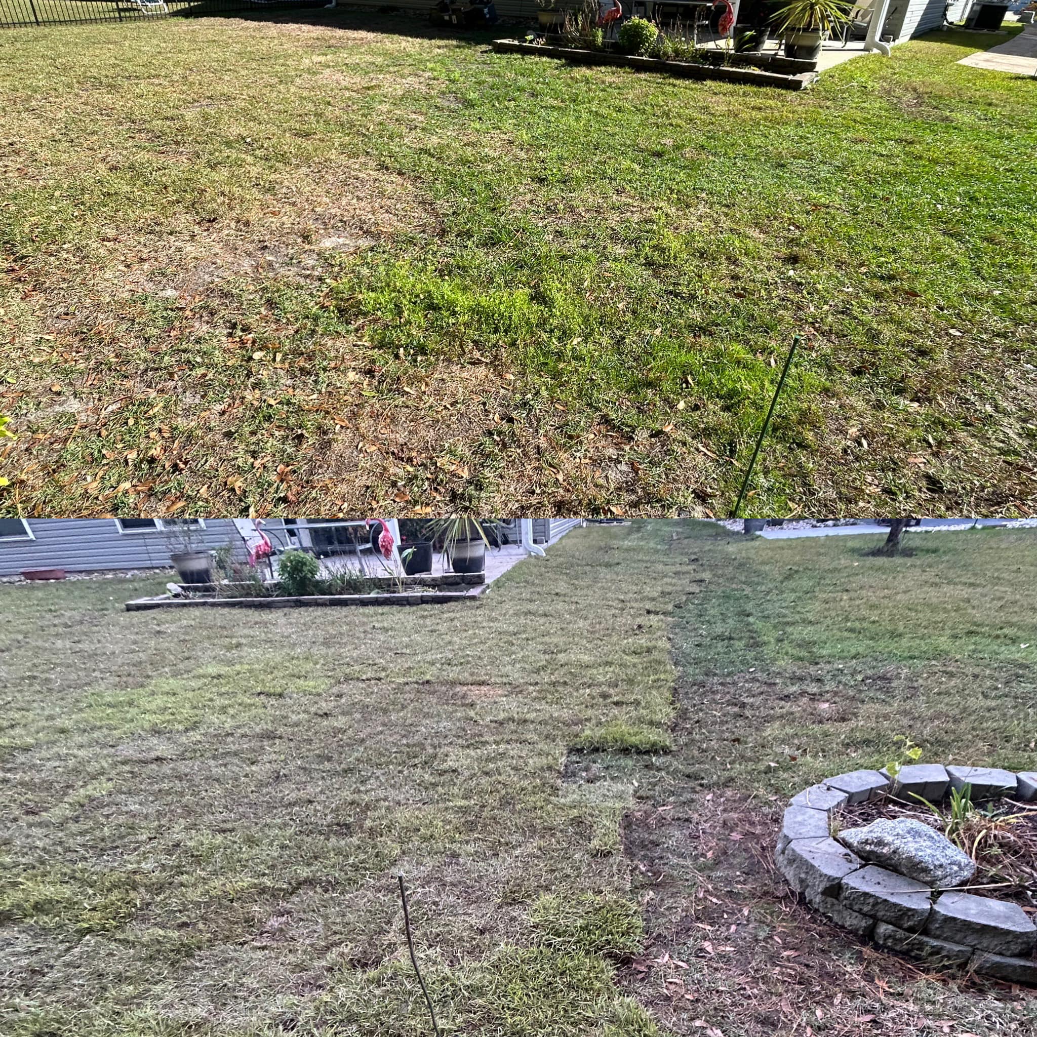 Removed old grass, added soil and installed Centipede, drainage and removed 2 trees in Longs,SC 29568