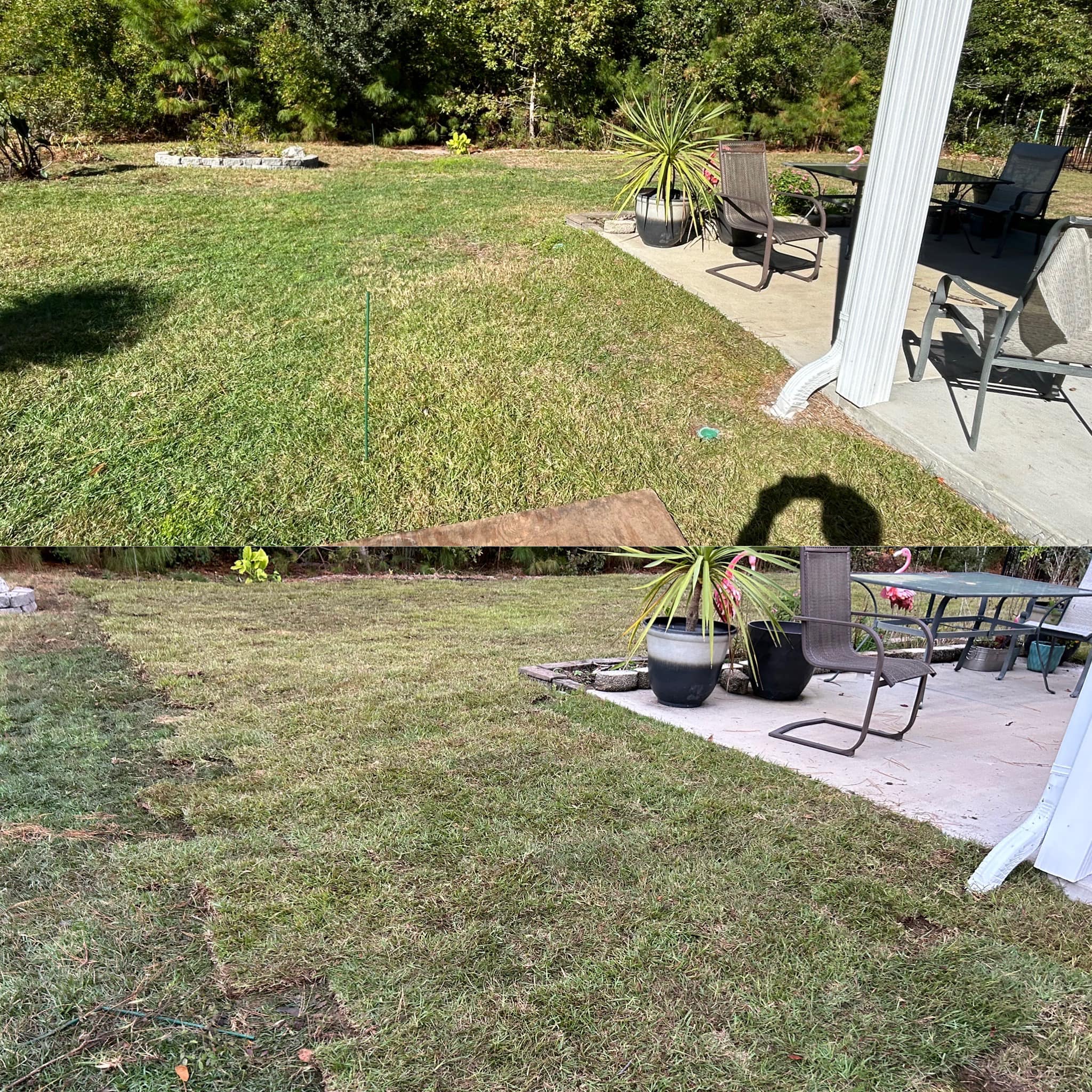 Removed old grass, added soil and installed Centipede, drainage and removed 2 trees in Longs,SC 29568