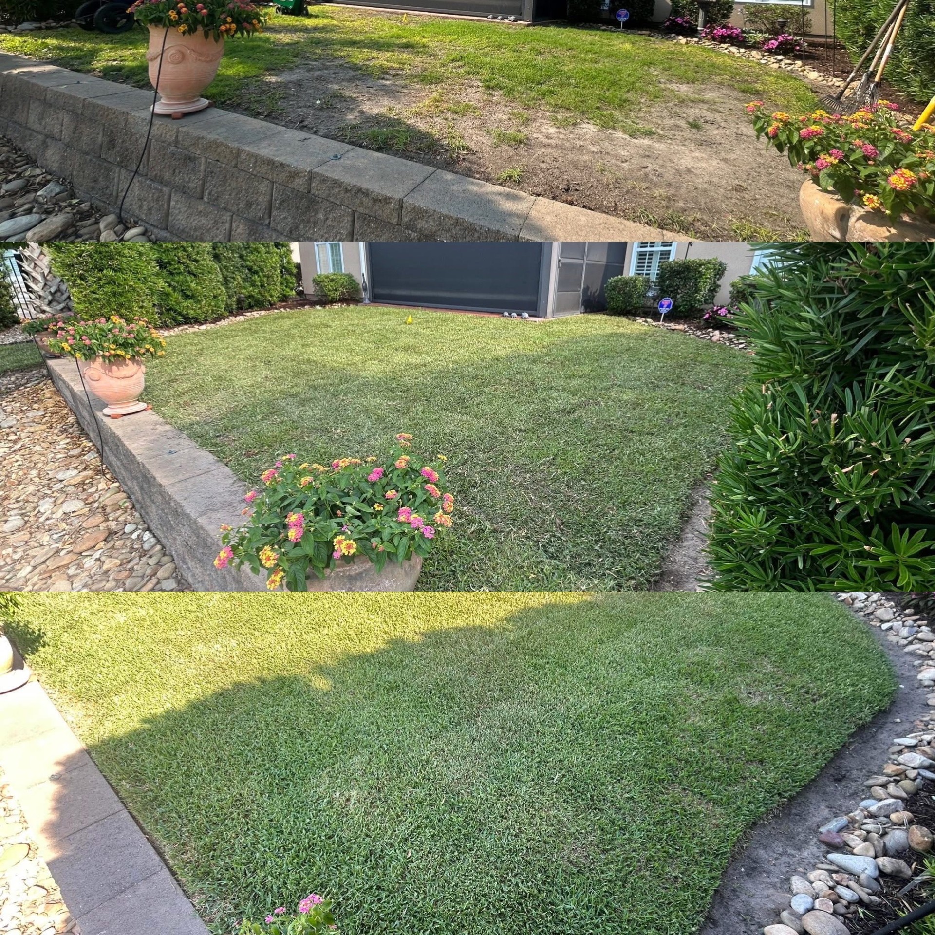 Removed old grass, added soil and installed high end St. Augutine in North Myrtle Beach,SC 29582