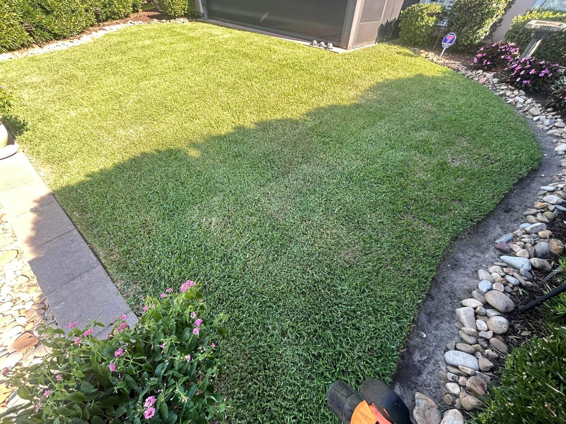 Removed old grass, added soil and installed high end St. Augutine in North Myrtle Beach,SC 29582