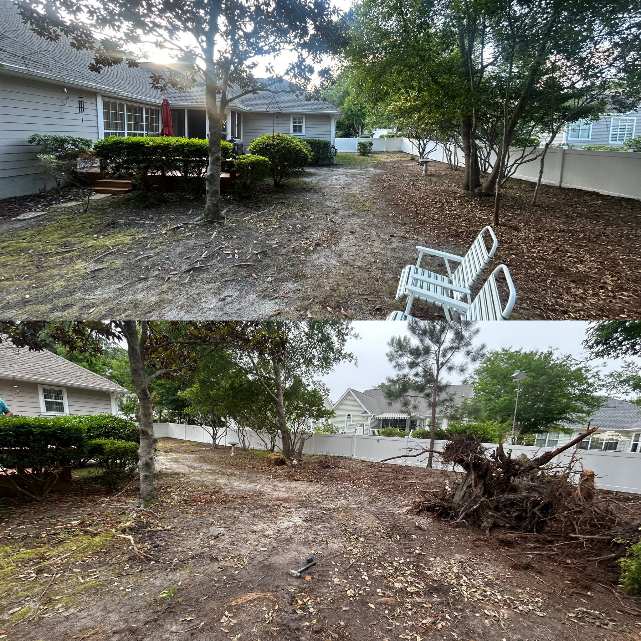 Removed 20 trees, trimmed 20 trees, added soil and installed high end St. Augutine in Little River,SC 29566