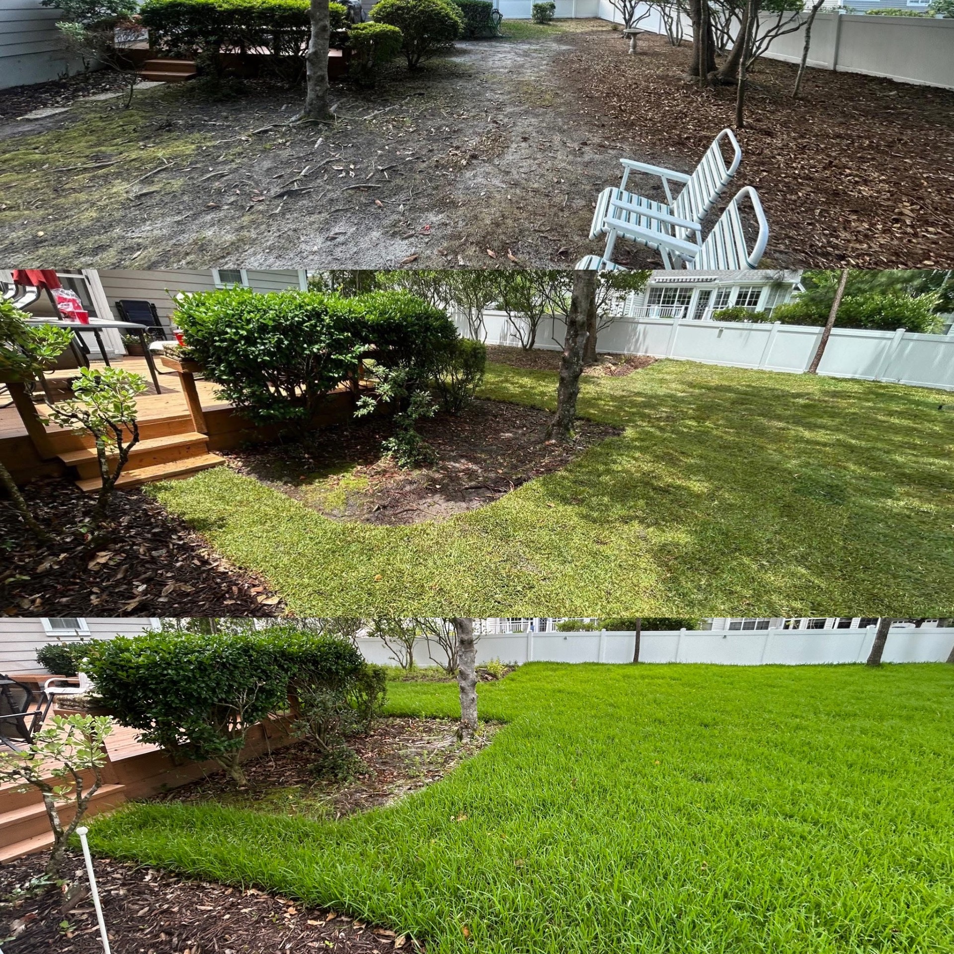 Removed 20 trees, trimmed 20 trees, added soil and installed high end St. Augutine in Little River,SC 29566