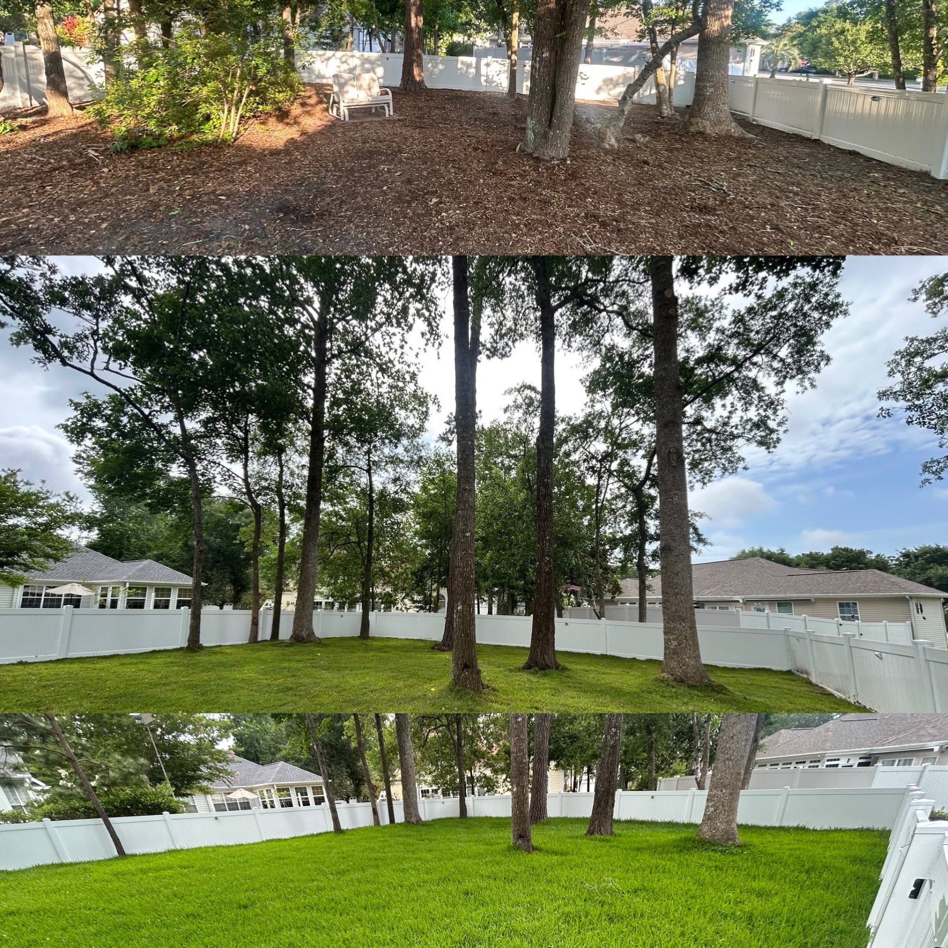 Removed 20 trees, trimmed 20 trees, added soil and installed high end St. Augutine in Little River,SC 29566