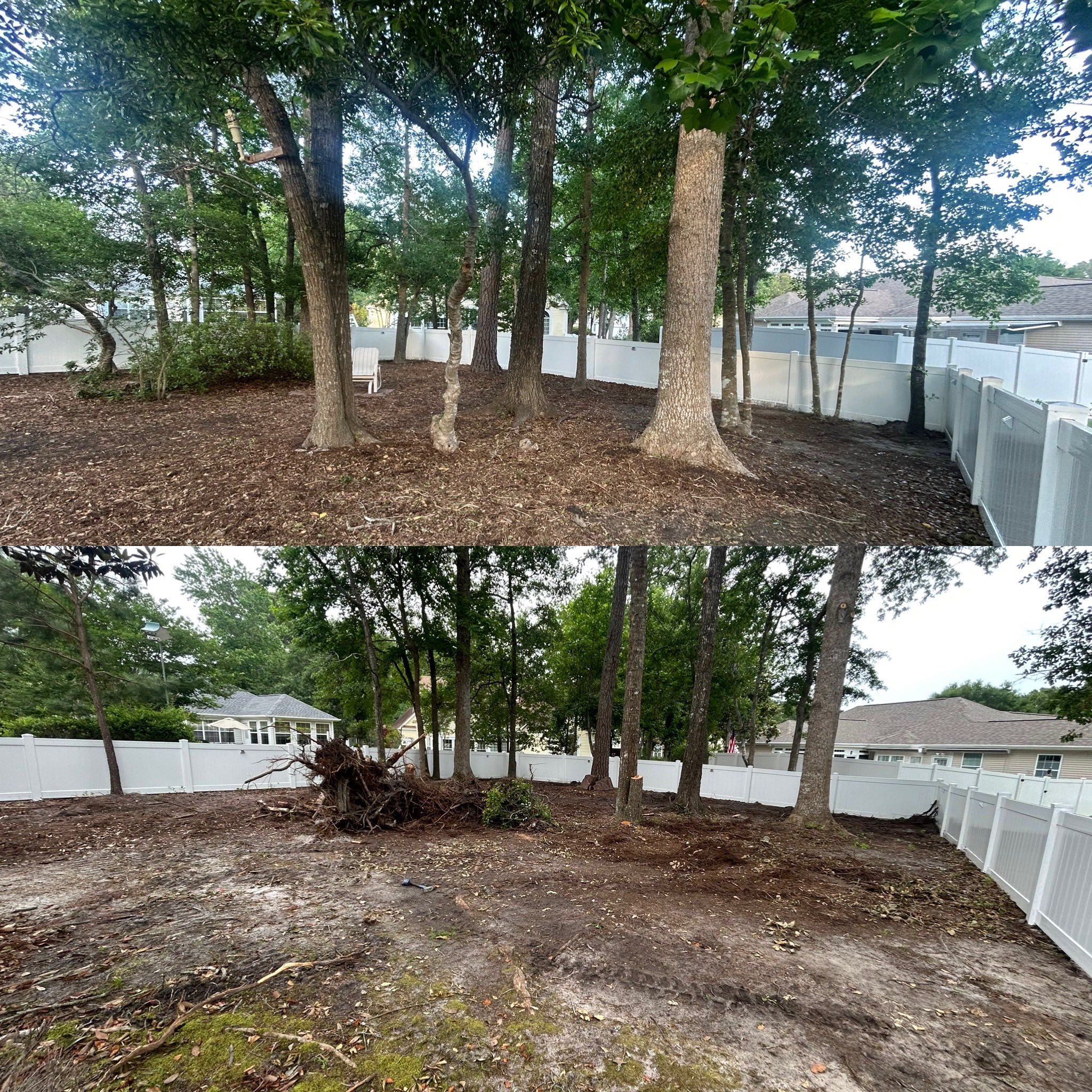Removed 20 trees, trimmed 20 trees, added soil and installed high end St. Augutine in Little River,SC 29566