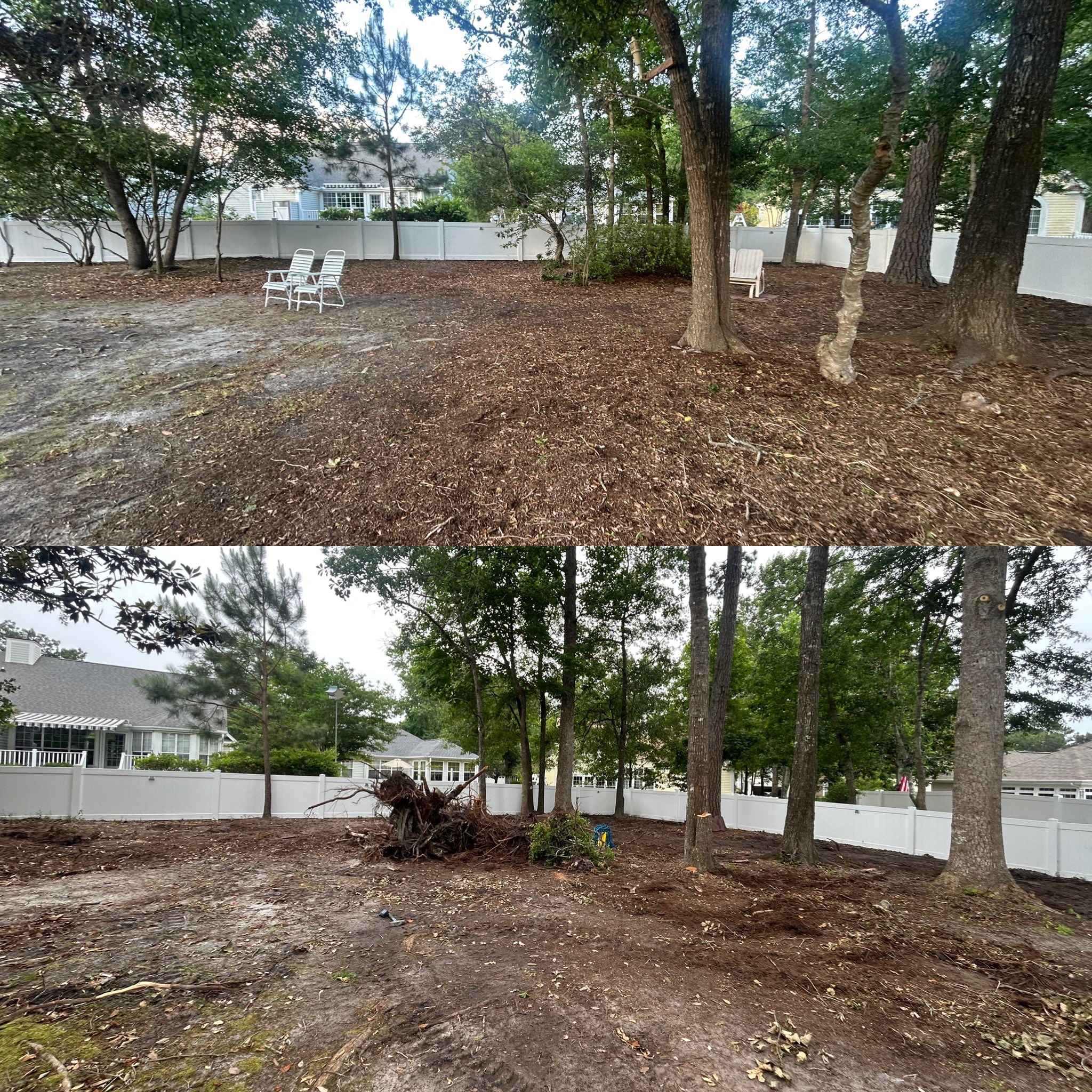 Removed 20 trees, trimmed 20 trees, added soil and installed high end St. Augutine in Little River,SC 29566