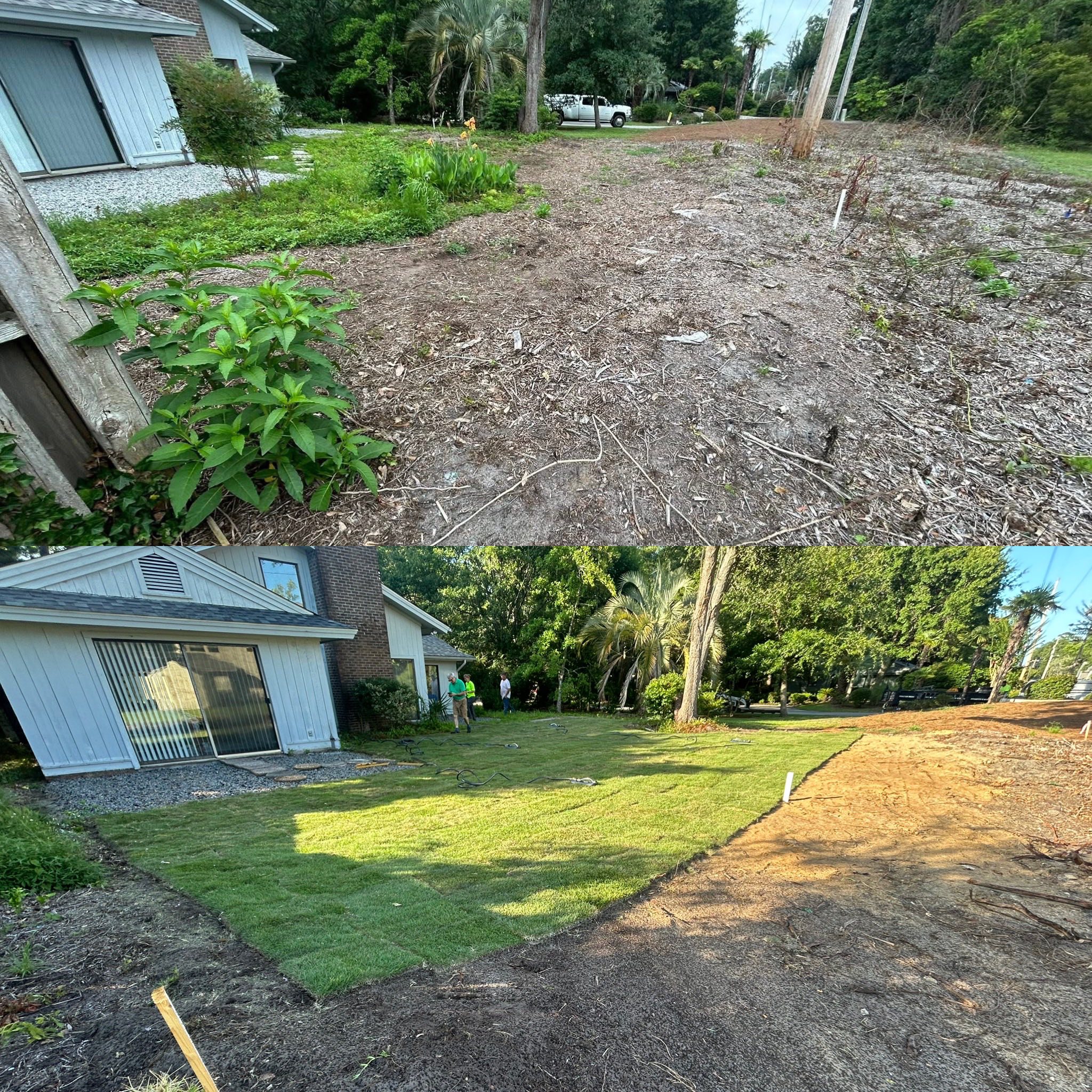 Removed brush,mounds, and more and regraded with Zoysia sod