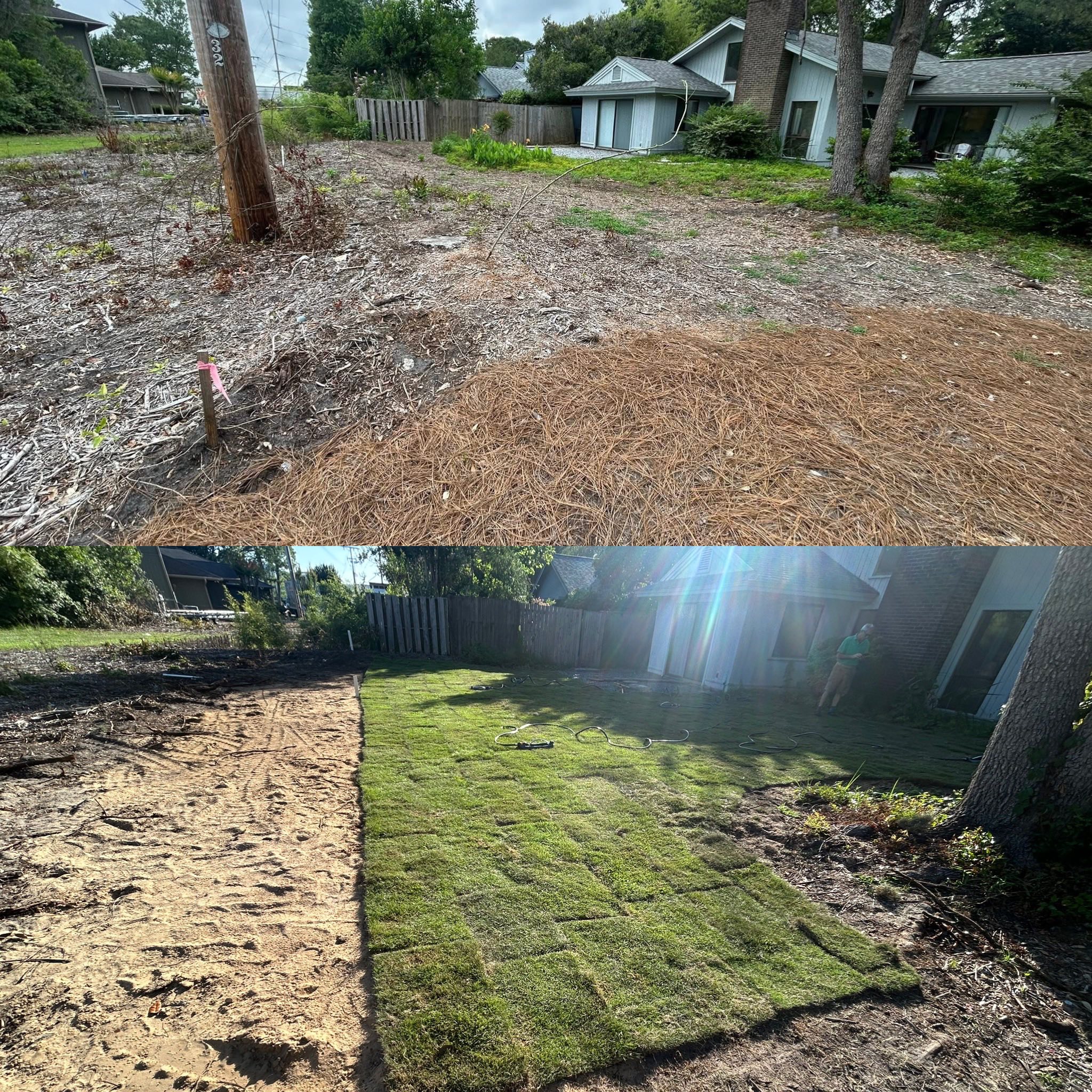 Removed brush,mounds, and more and regraded with Zoysia sod