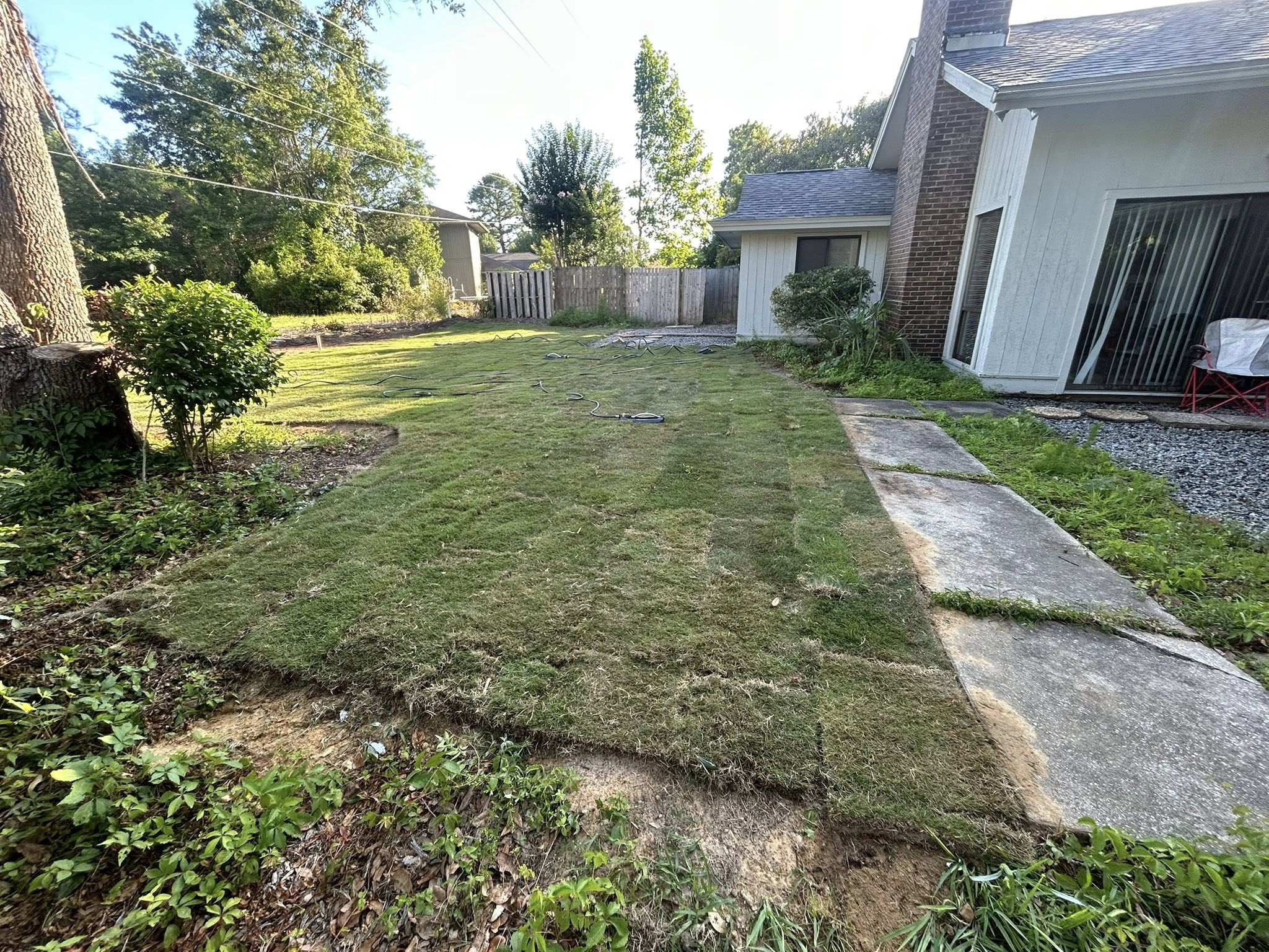 Removed brush,mounds, and more and regraded with Zoysia sod
