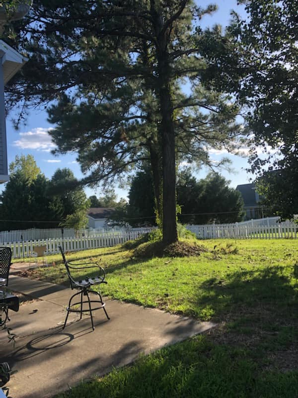 removed trees stump ground graded and put sod down