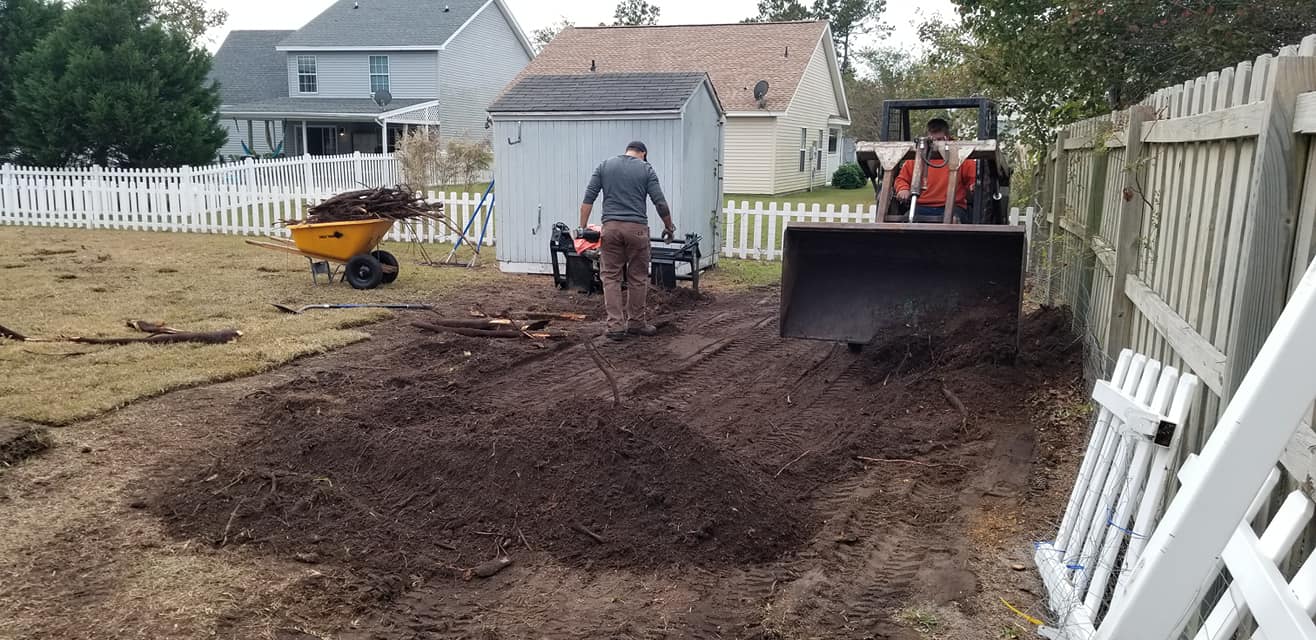 removed trees stump ground graded and put sod down