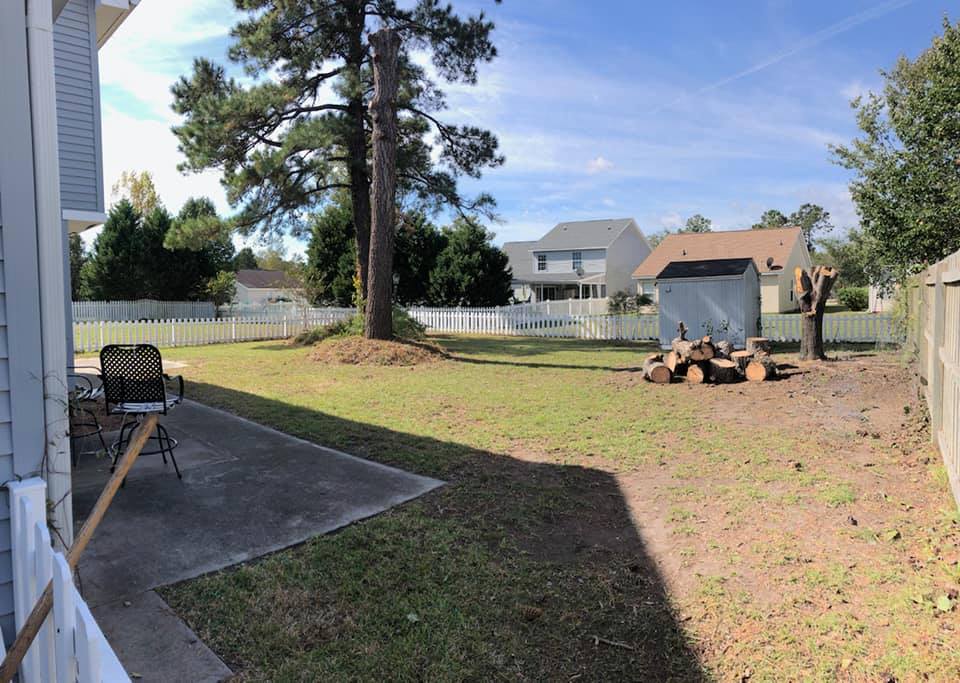 removed trees stump ground graded and put sod down