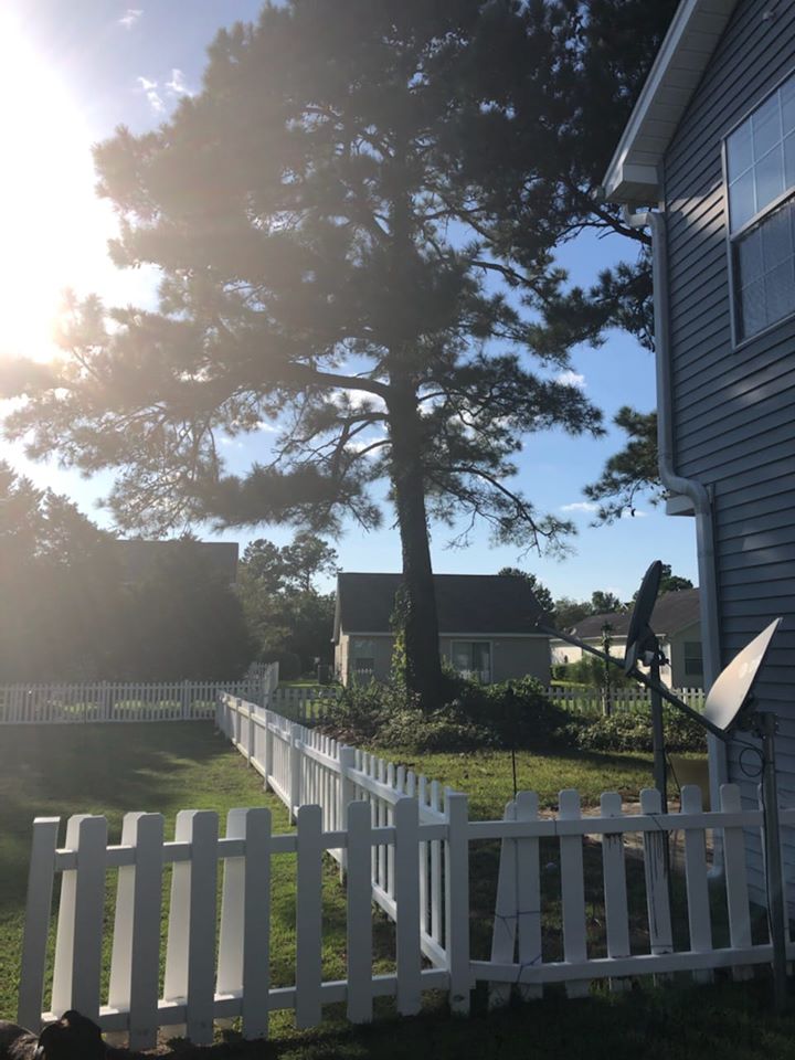 removed trees stump ground graded and put sod down