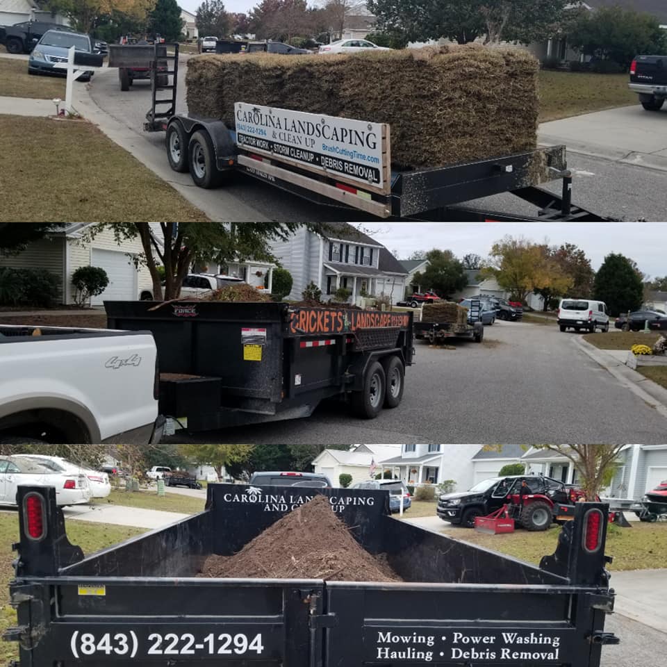 removed trees stump ground graded and put sod down