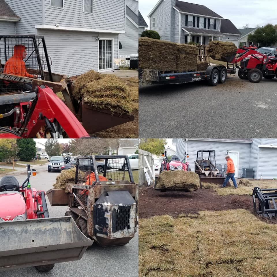 removed trees stump ground graded and put sod down