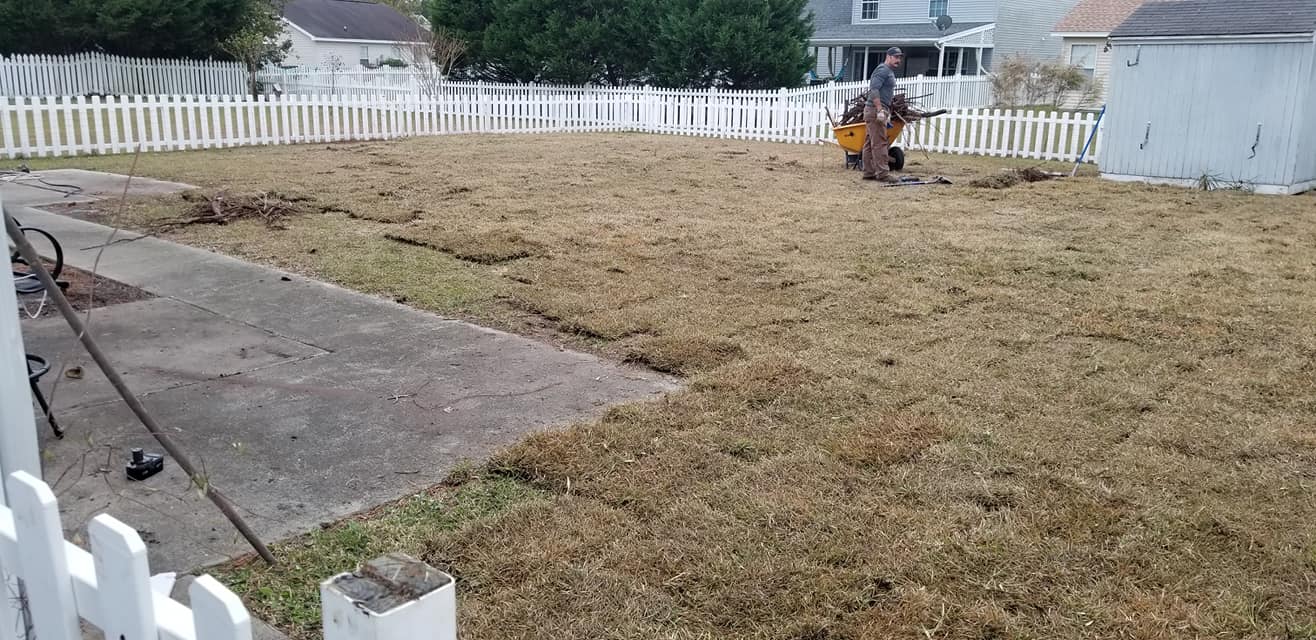 removed trees stump ground graded and put sod down