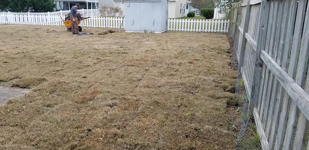 removed trees stump ground graded and put sod down