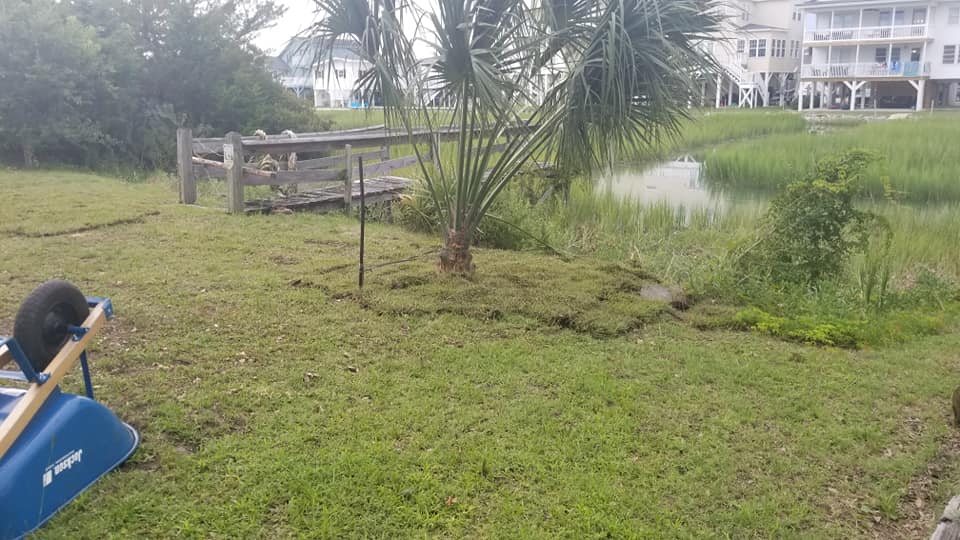 Placed sod at a clean up job in Cherry Grove, SC 29582