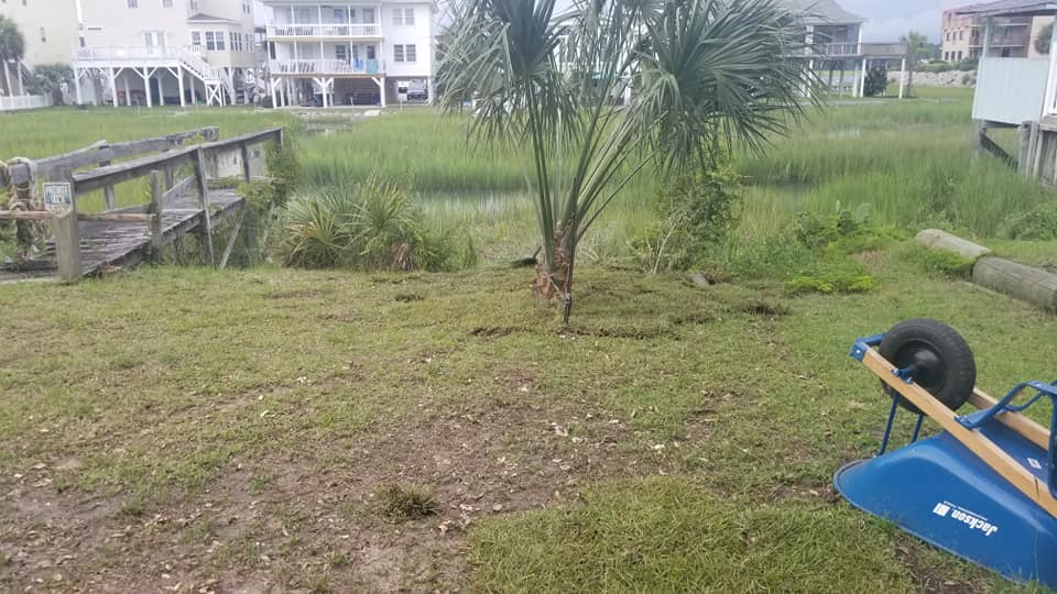Placed sod at a clean up job in Cherry Grove, SC 29582