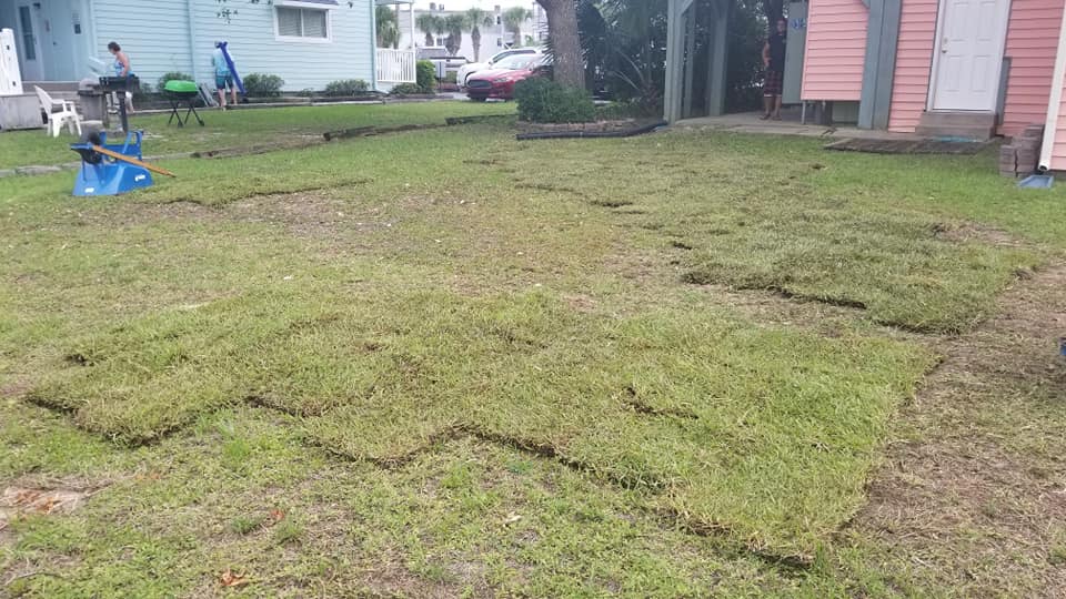 Placed sod at a clean up job in Cherry Grove, SC 29582