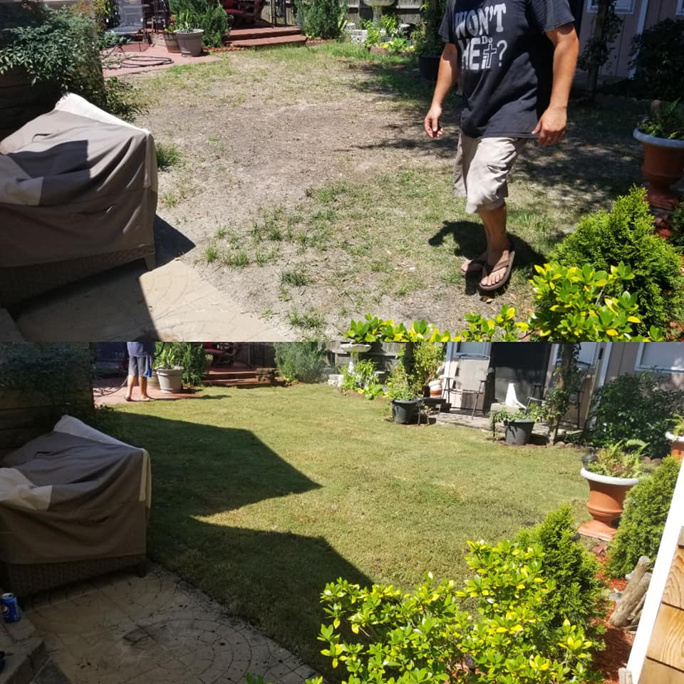 Placed sod at a clean up job in Cherry Grove, SC 29582