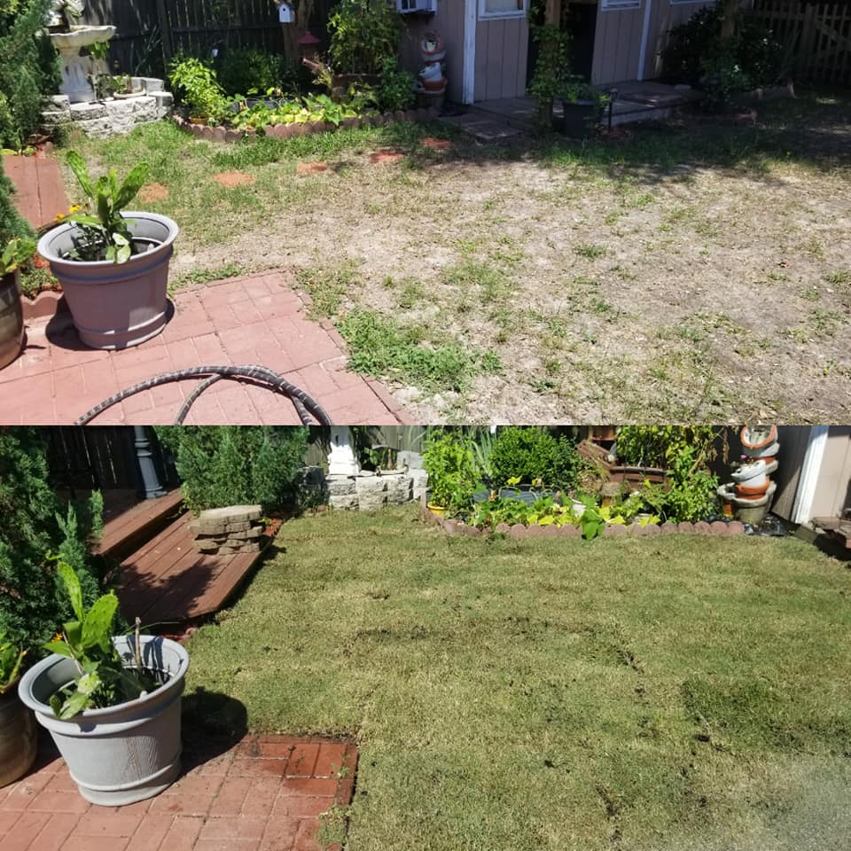 Placed sod at a clean up job in Cherry Grove, SC 29582