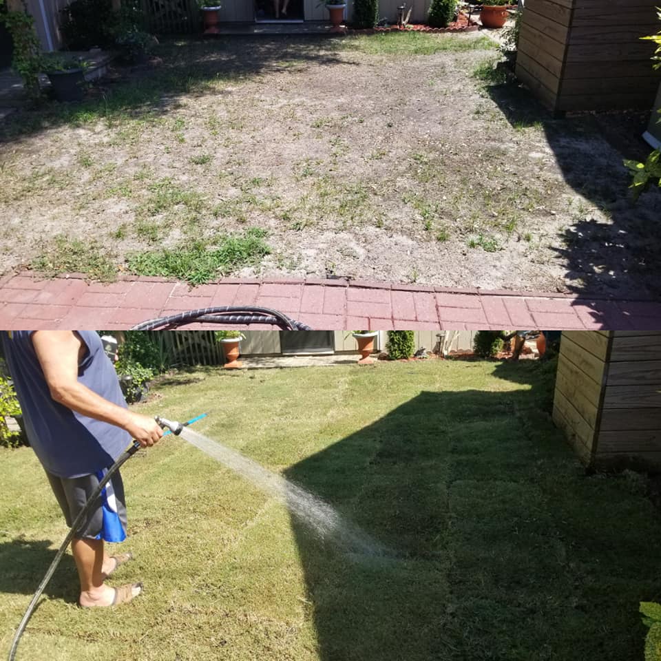 Placed sod at a clean up job in Cherry Grove, SC 29582