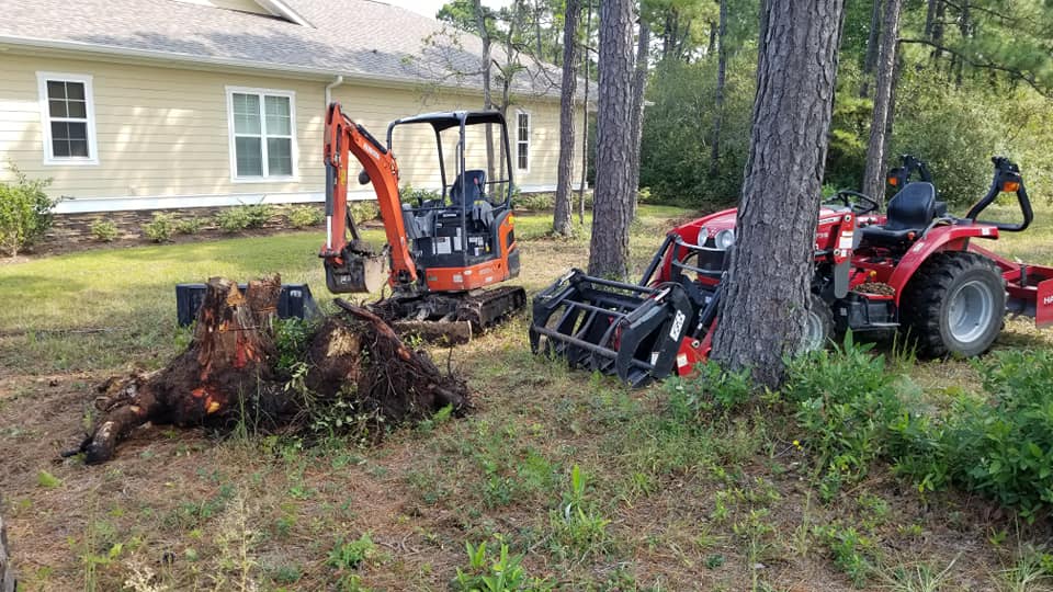 Removed dead tree and removed stump in Carolina Forest, SC 29579