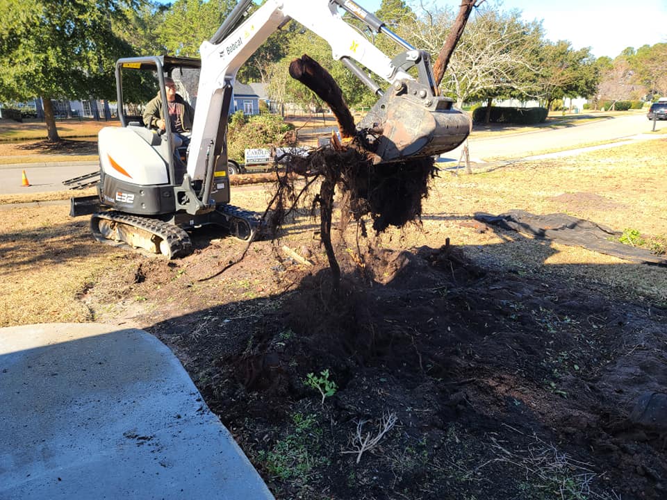 Removed dead stump and some shrubs for a fence in Carolina Forest, SC 29579