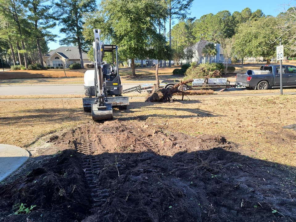 Removed dead stump and some shrubs for a fence in Carolina Forest, SC 29579