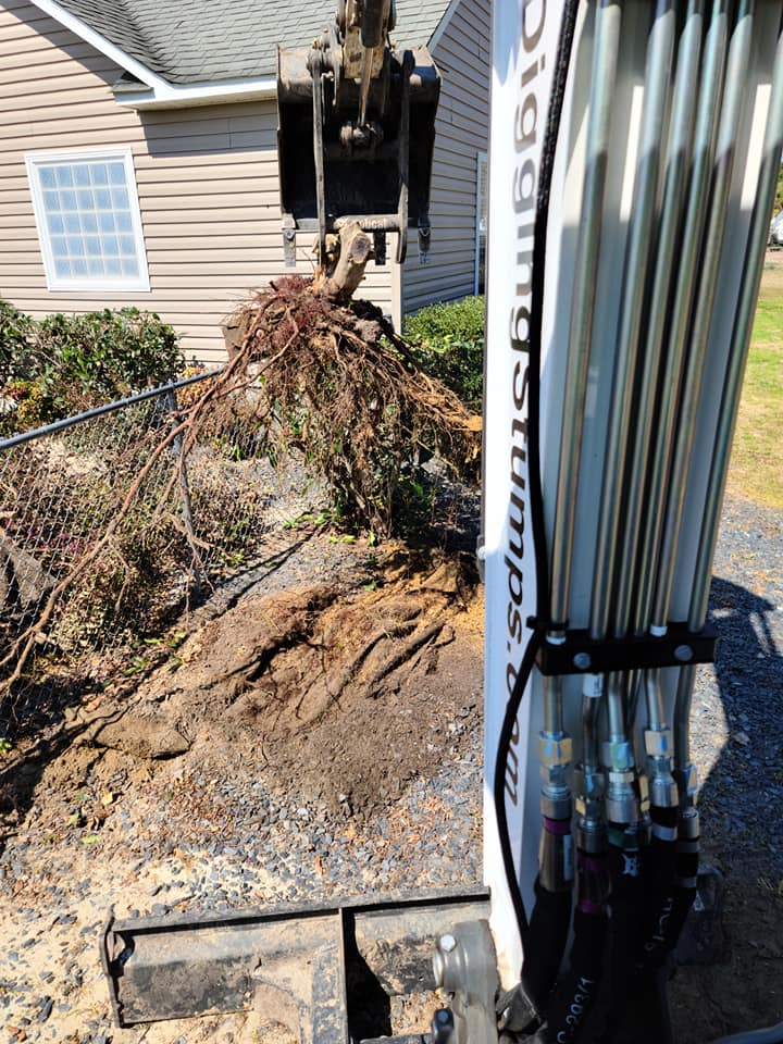 Removed 2 stumps for a customers neighbor in Conway, SC