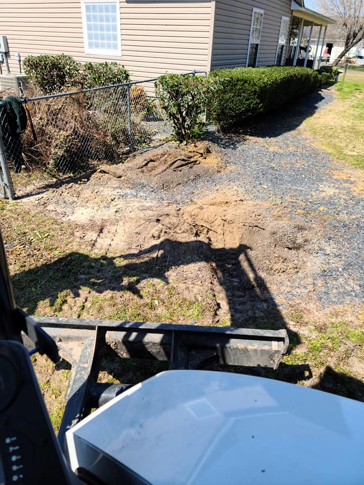 Removed shrubs for a client in Conway, SC