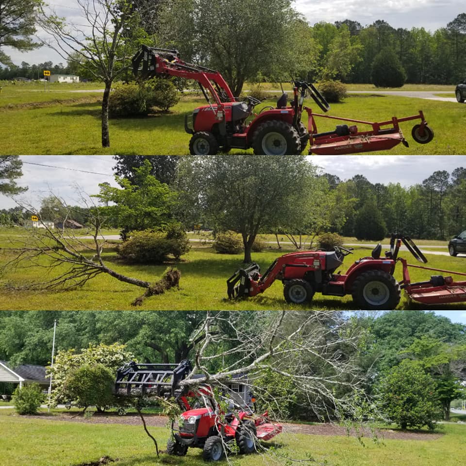 Removed trees in Longs, SC 29568